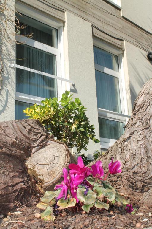 Loop Inn Hotel Santiago De Compostela Exterior foto